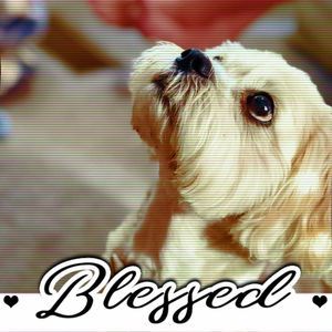 Meet your Posher, Fay